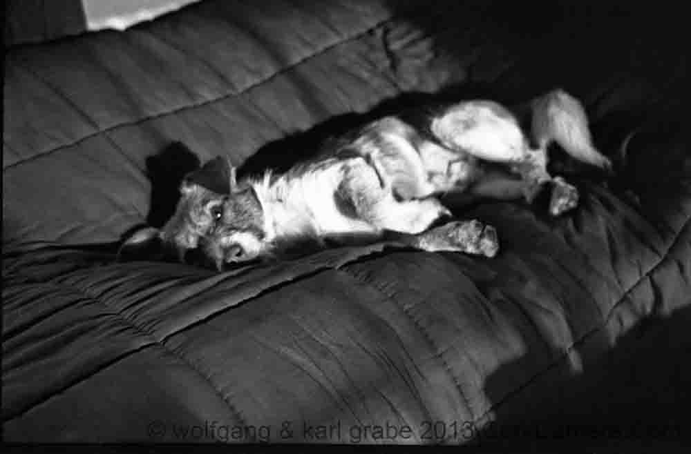 nBW120wg 013 047 rusty turners cross cork 1957 