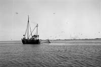 nBW120wg 006 005 fishing N germany