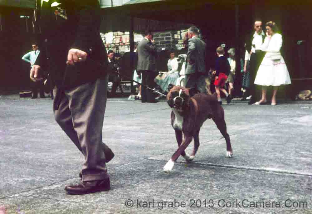 s02wg051 Apr1959 Dog Show