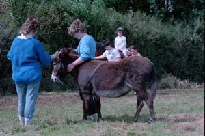 nC35wg 089 14 1987 WarrensCourt Festival