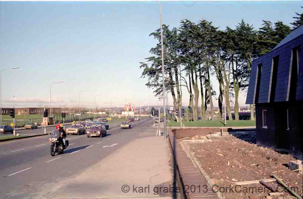 n01kg12WiltonTrees