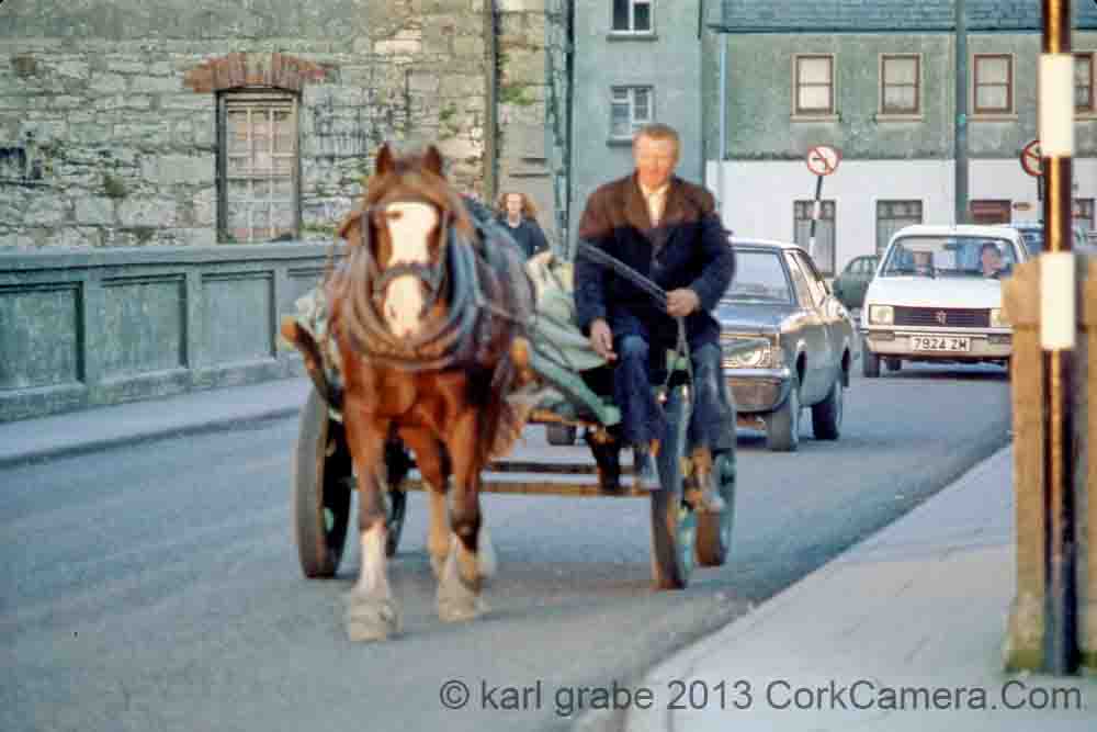 zs03kg20 Cork Horse poor Quality