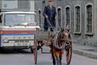 s03kg Horse Cork 1980s