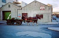 s03kg19 Hourse Cart Cork