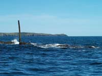 KG210954 barrel rocks courtmacsherry bay