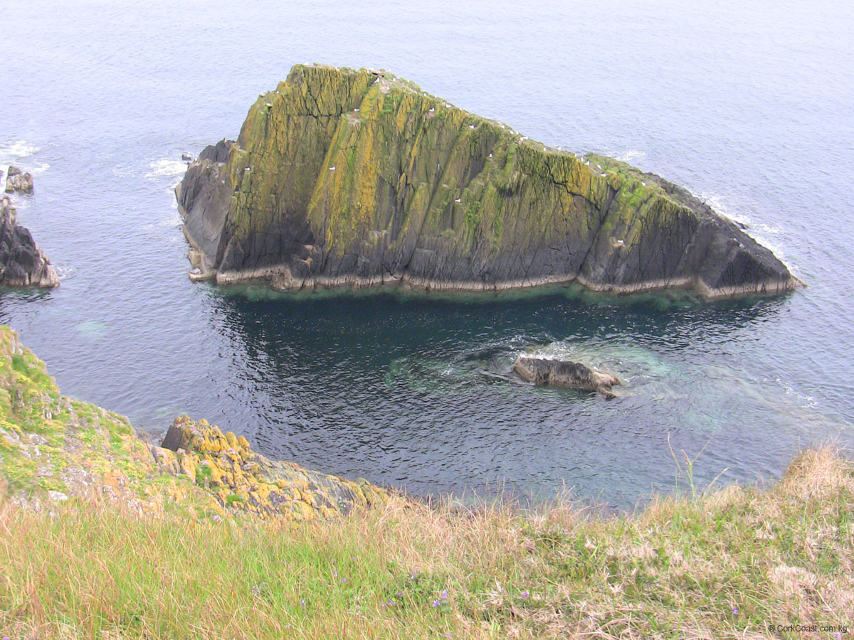 IMG_3524 Hole Open Bay East