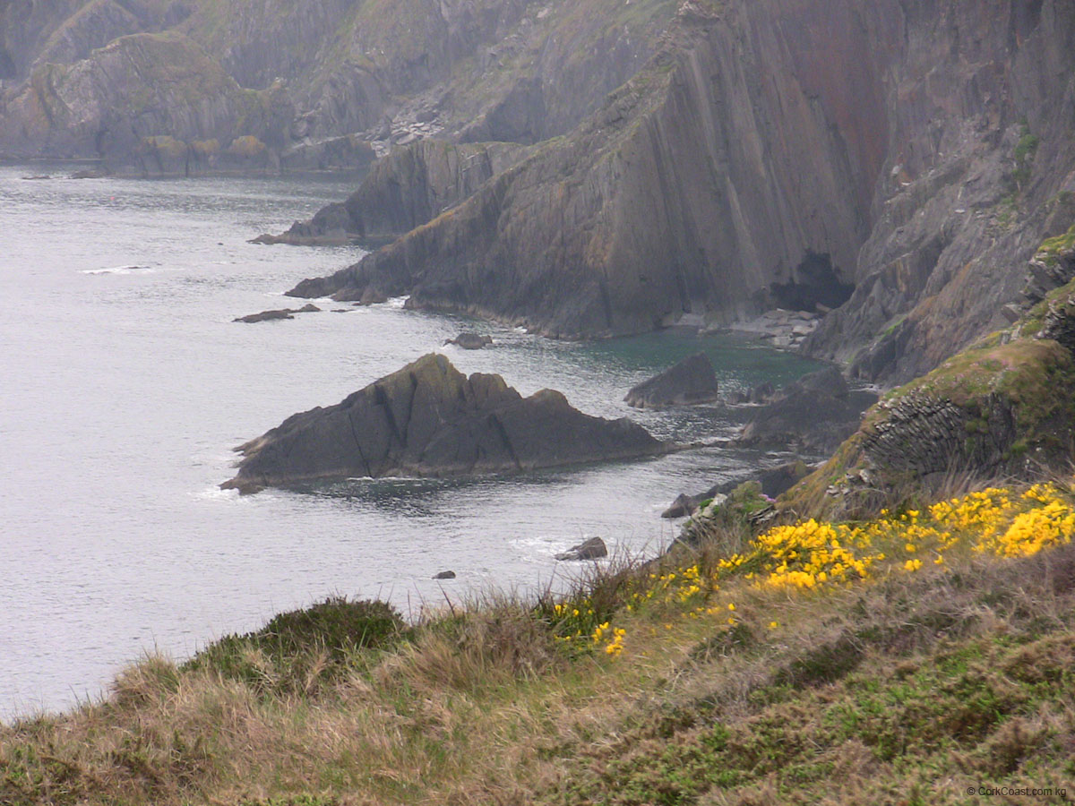 IMG_3533 Hold Open Bay E