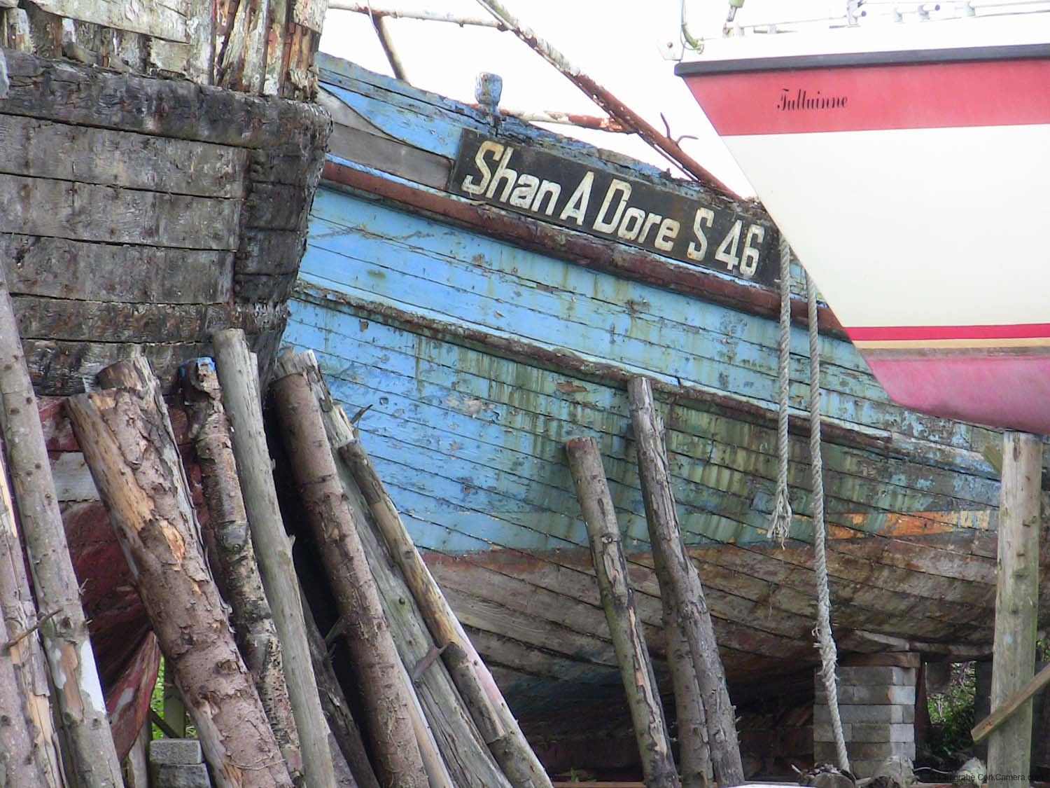 IMG_3907 shan a dore s46