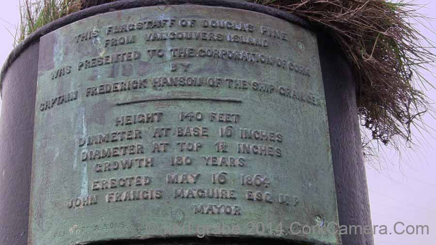 IMG_1274 Flagstaff douglas pine 1864 Cork Harbour