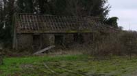 IMG_1529