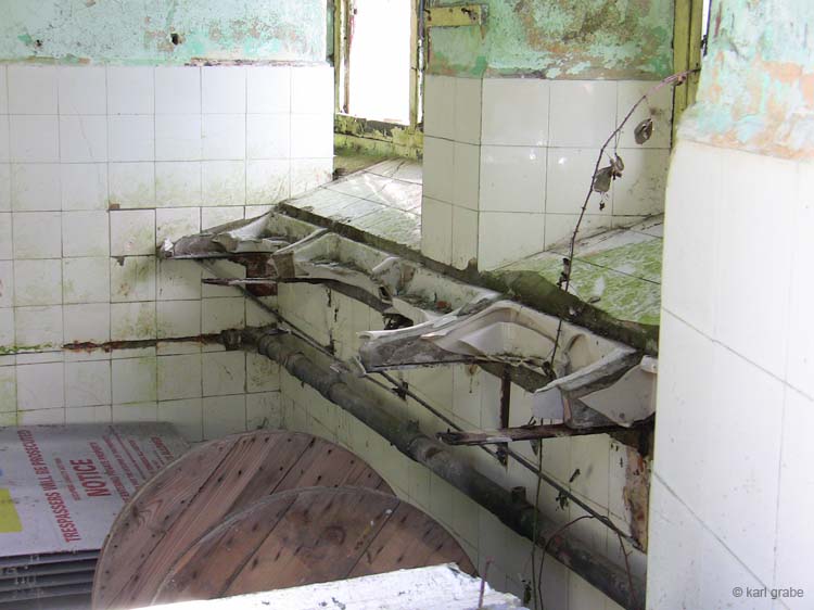 IMG_2595