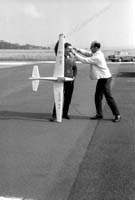 nBW35wg 030 30 EI-166 HD glider 1967