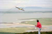 nC35wg 012 17 rc glider poss kerry DG
