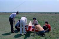 nC35wg 023 16 WGs Big Lift and sail plane