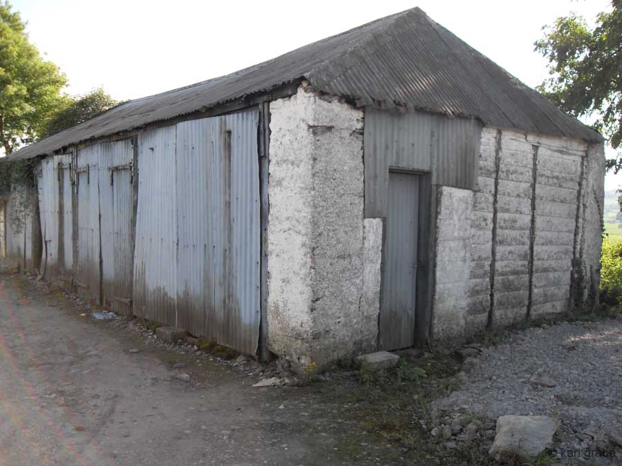 SDC10569