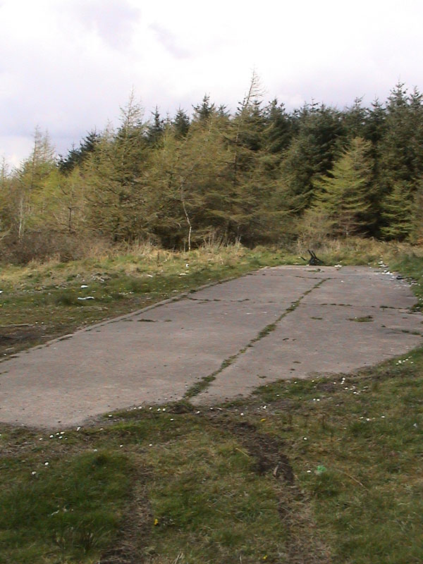 DSC00004