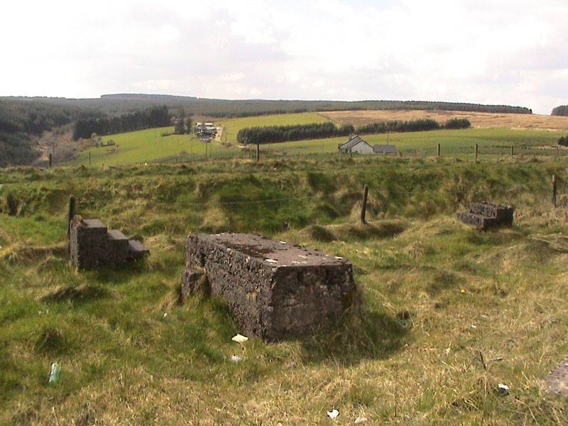 DSC00005