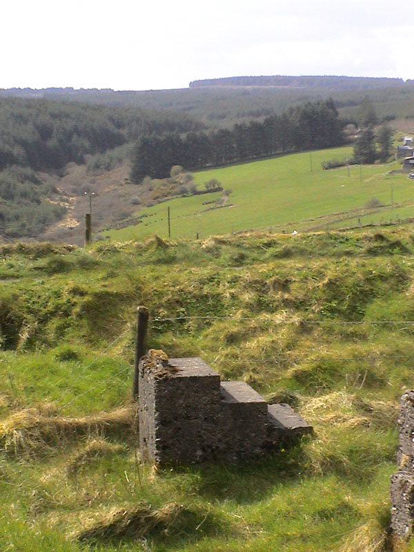 DSC00007