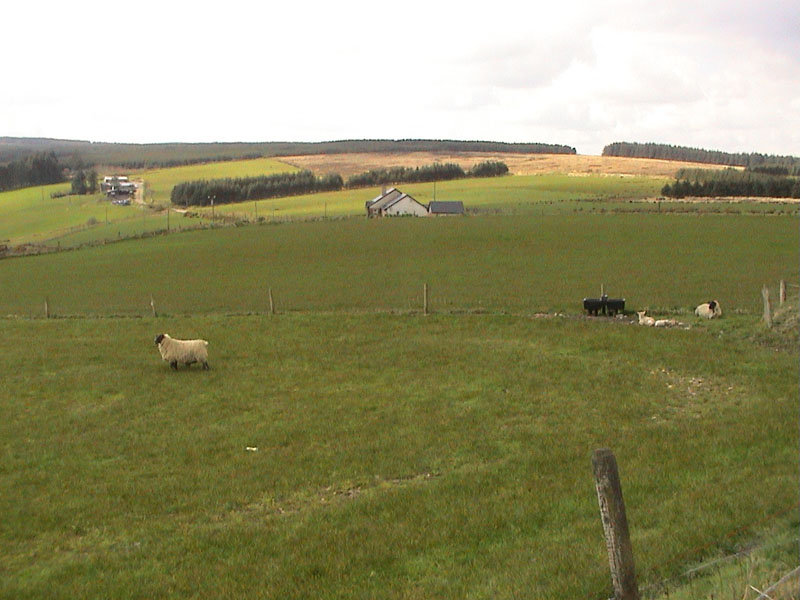 DSC00012