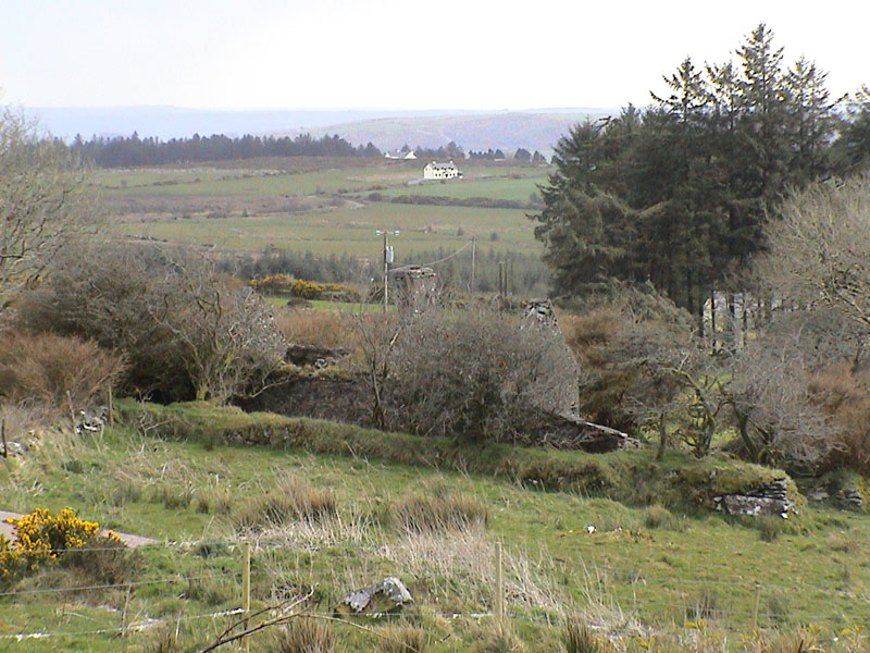 DSC00016