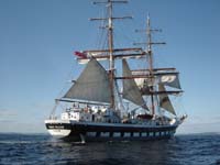 DSC01550 prince william courtmacsherry