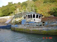DSC01660 wreck bandon river
