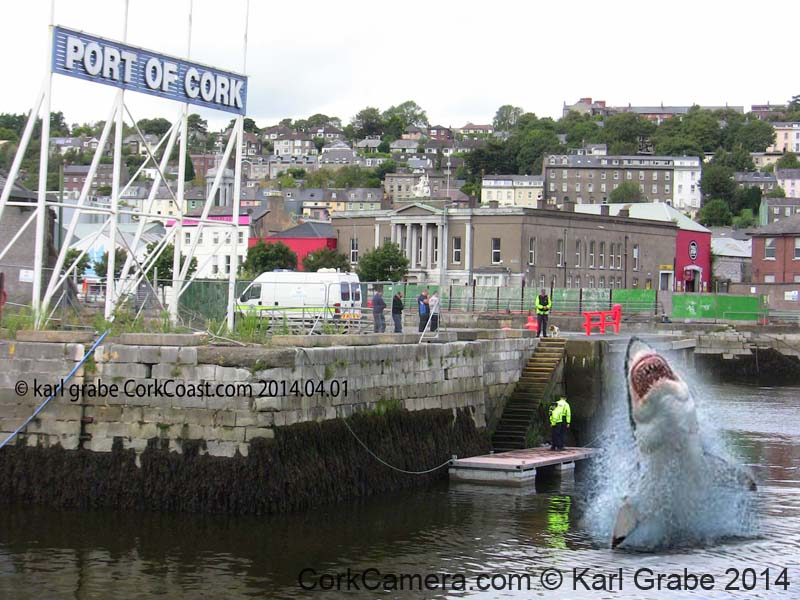 IMG_4565 gardai cork harbour shark