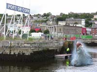IMG_4565 gardai cork harbour shark