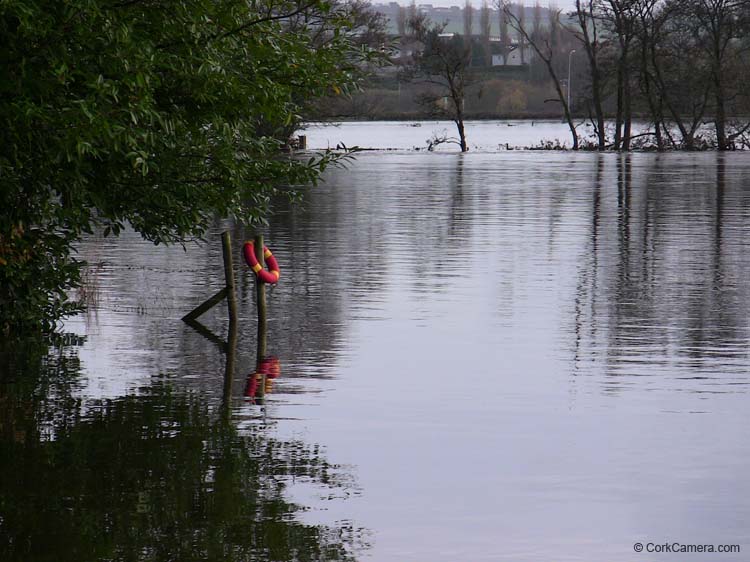 IMG_1902 field off lee road