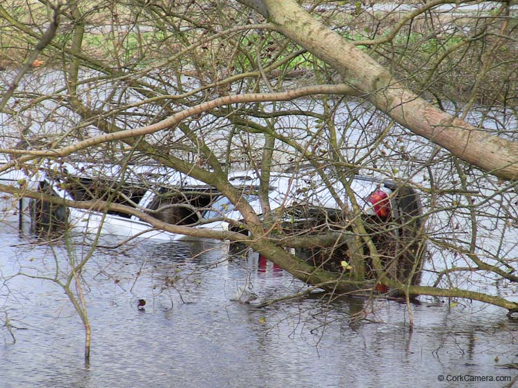 IMG_1912 near anglers rest