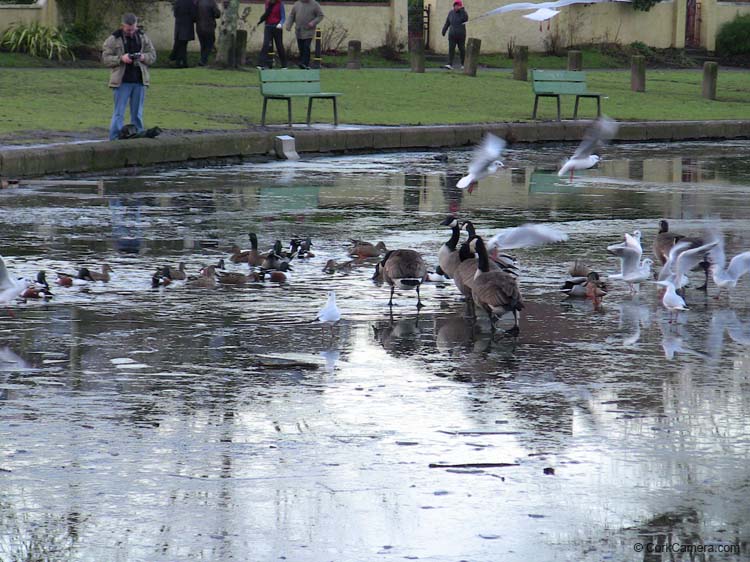 IMG_1928 ice on the lough
