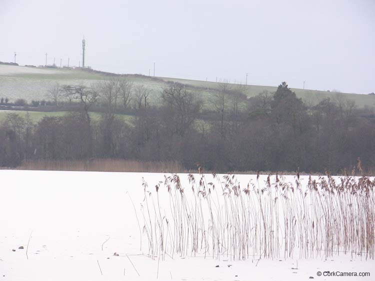 IMG_1948 frozen blarney lake