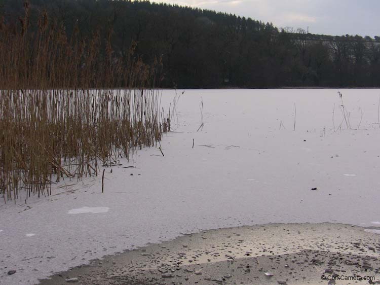 IMG_1952 frozen blarney lake
